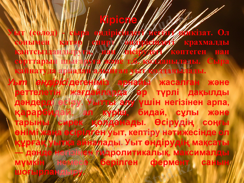Slide 3