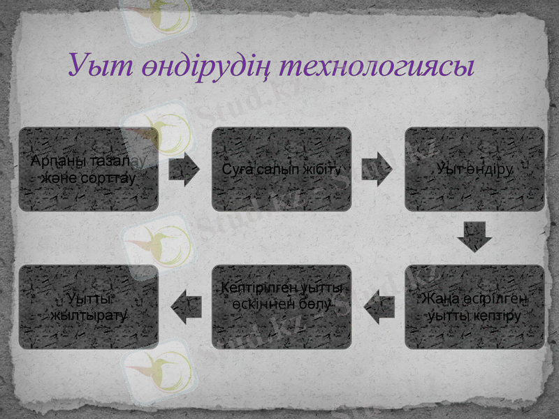 Slide 6