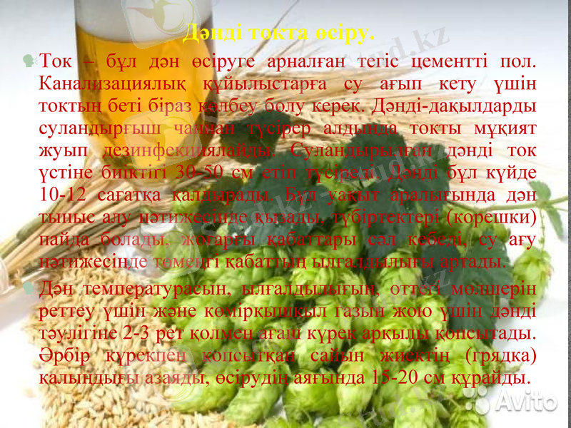 Slide 8