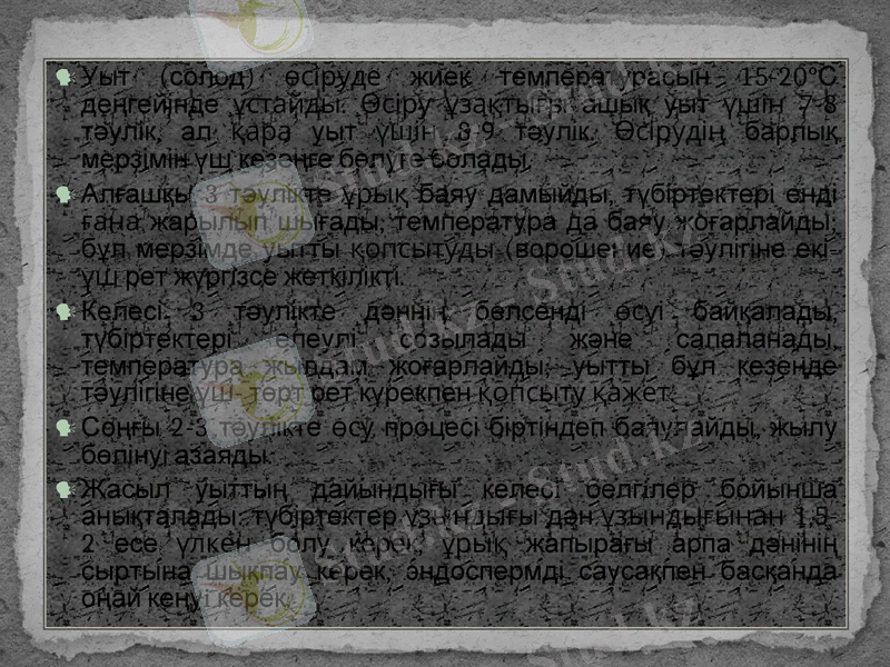 Slide 9