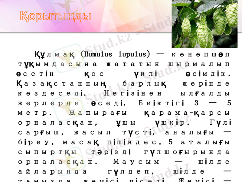 Slide 7