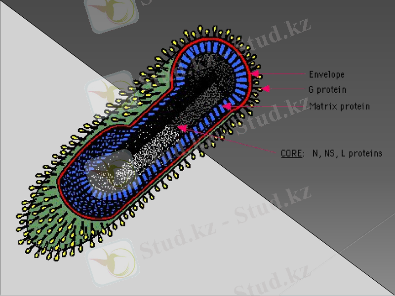 Slide 10