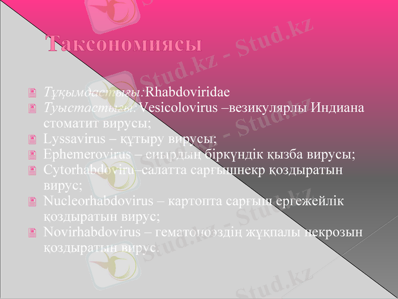 Slide 11