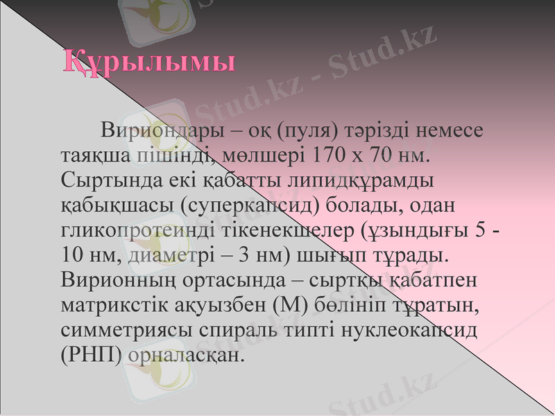 Slide 12