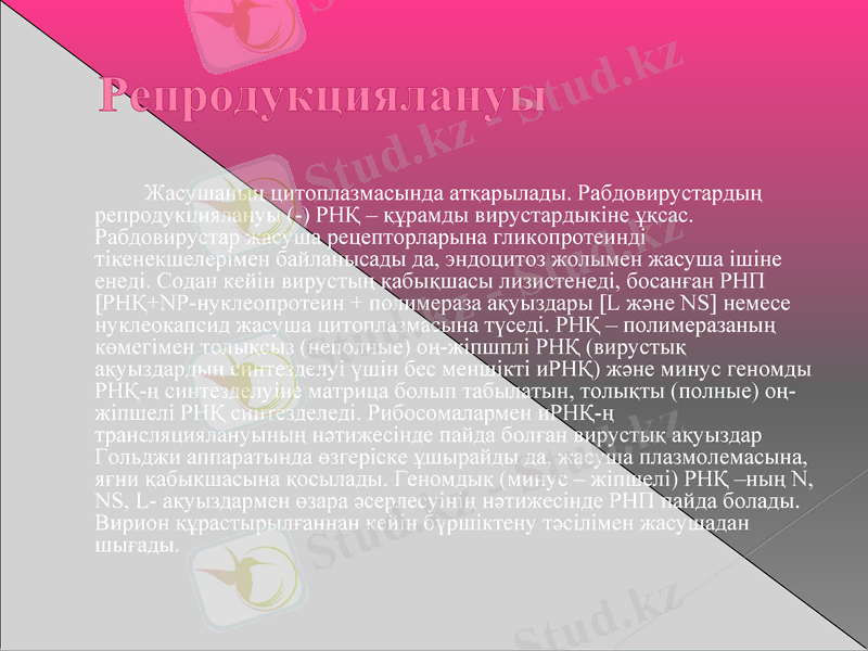Slide 13