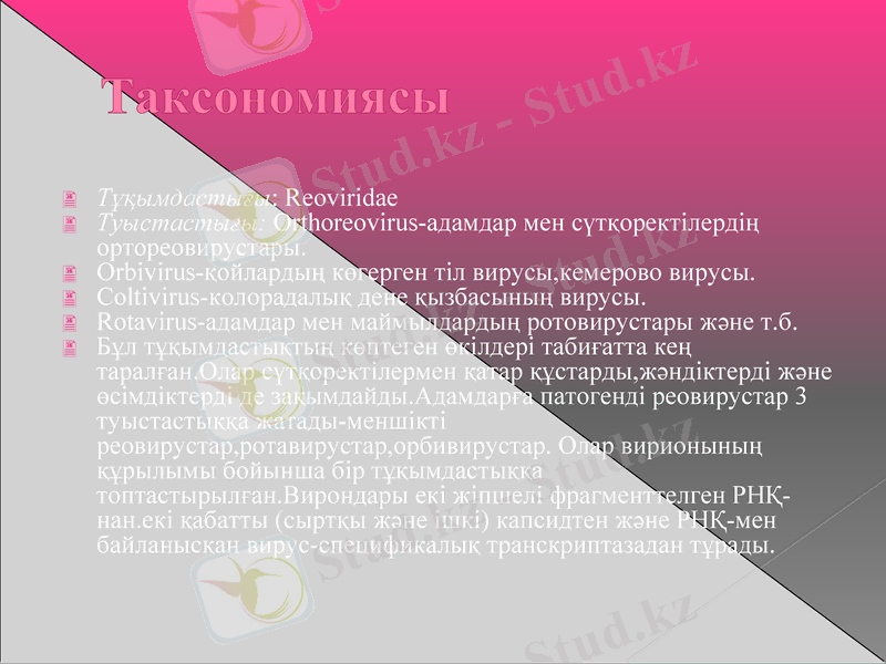 Slide 16