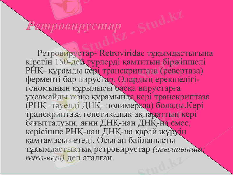 Slide 17