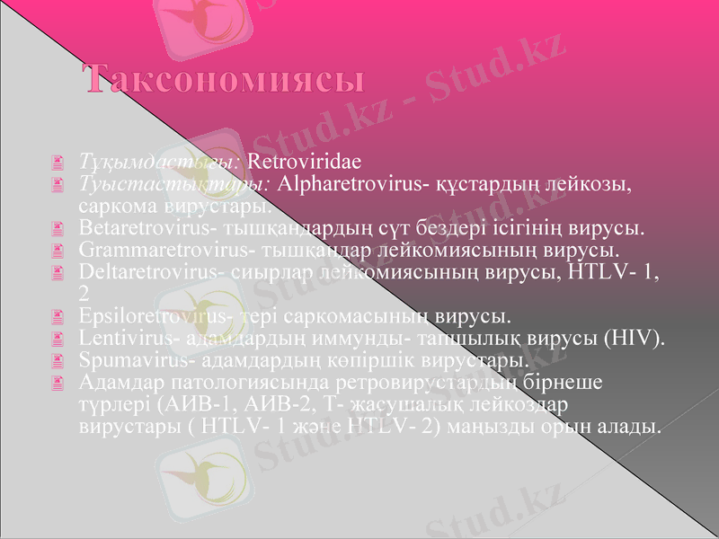 Slide 19