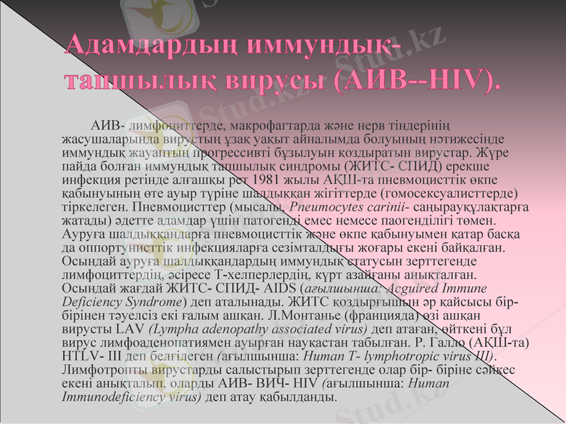 Slide 20