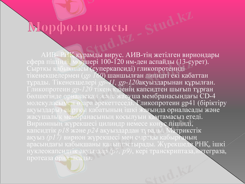 Slide 21