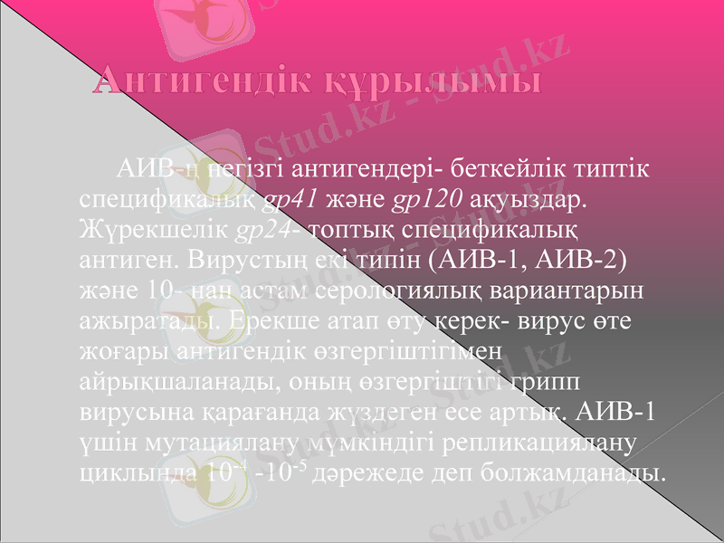 Slide 23