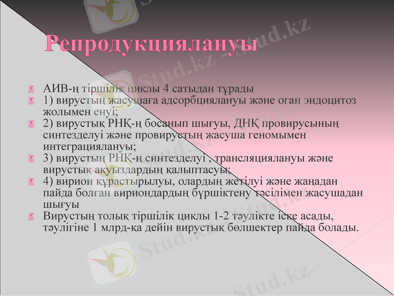 Slide 24