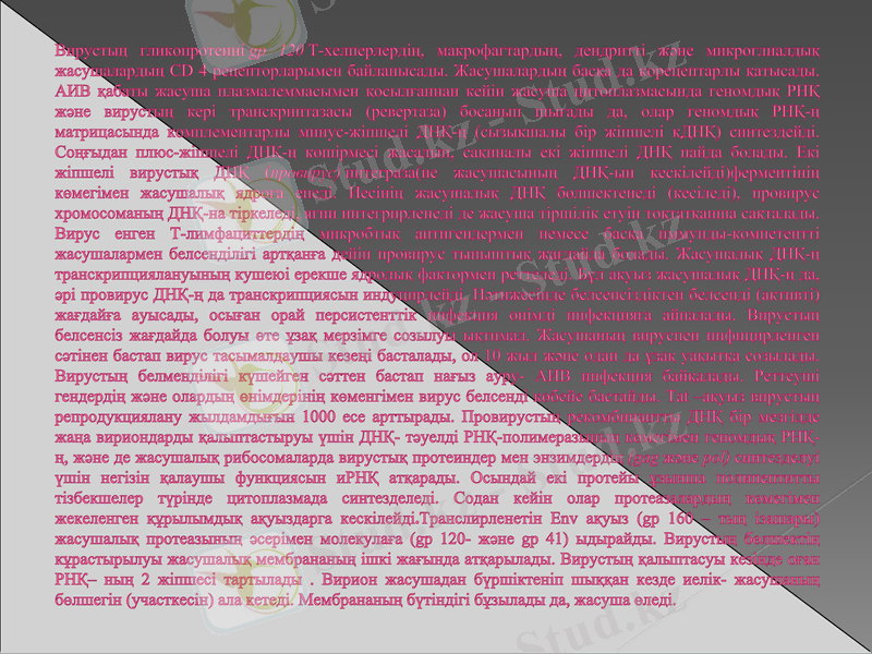 Slide 25