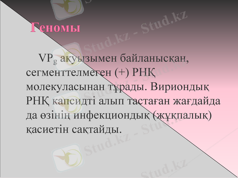 Slide 7