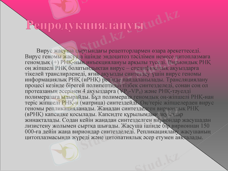 Slide 8