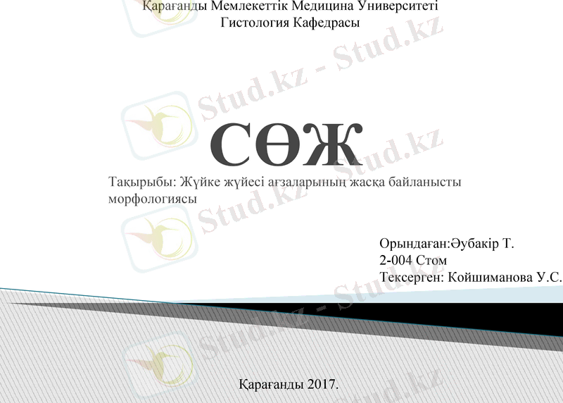 Slide 1