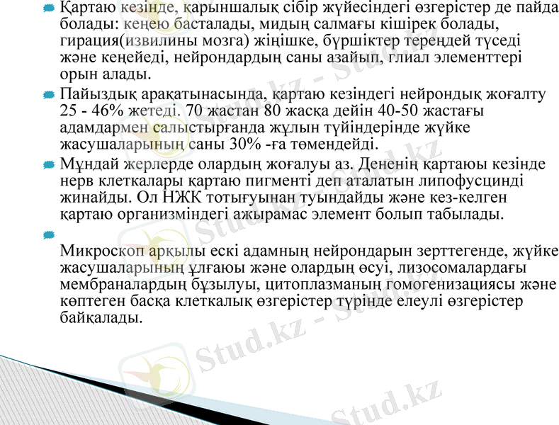 Slide 8