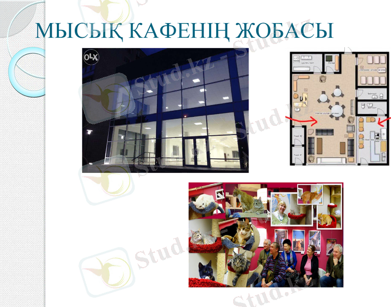 Slide 12