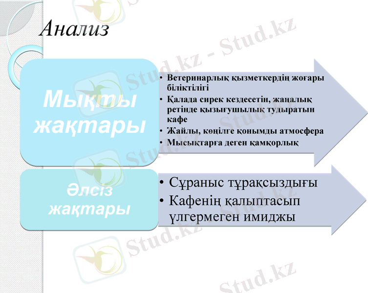 Slide 13