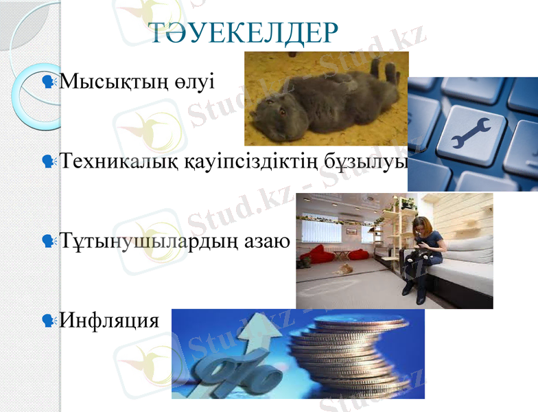 Slide 14