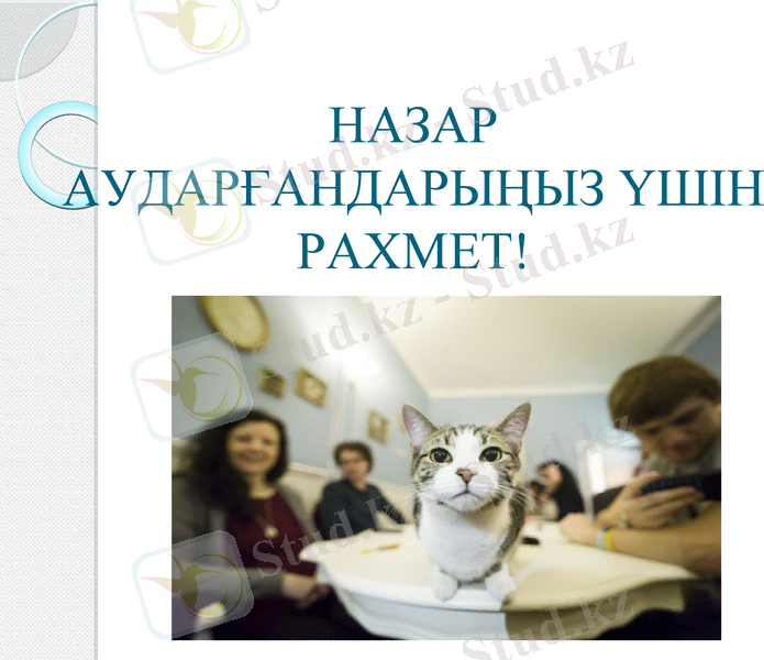 Slide 15