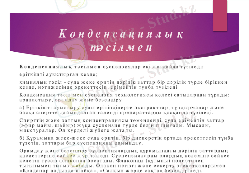 Slide 11
