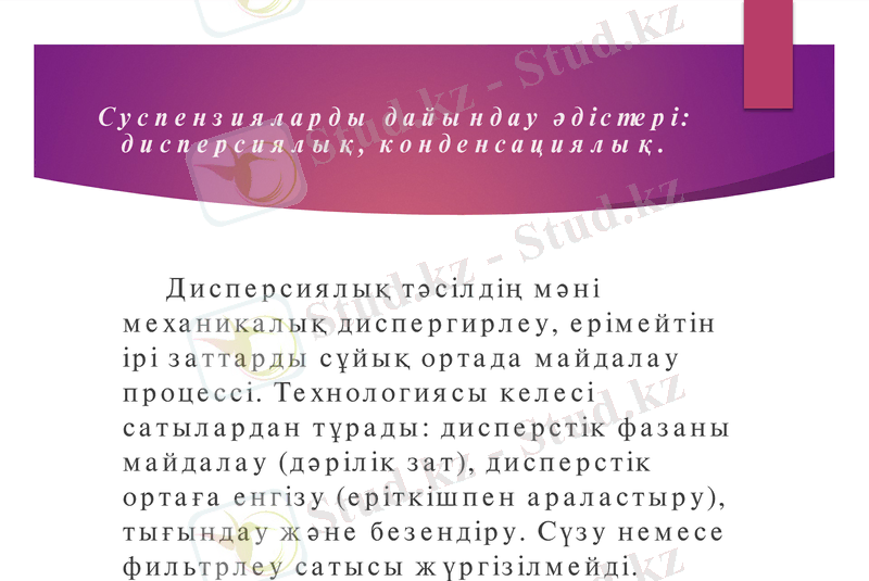 Slide 9
