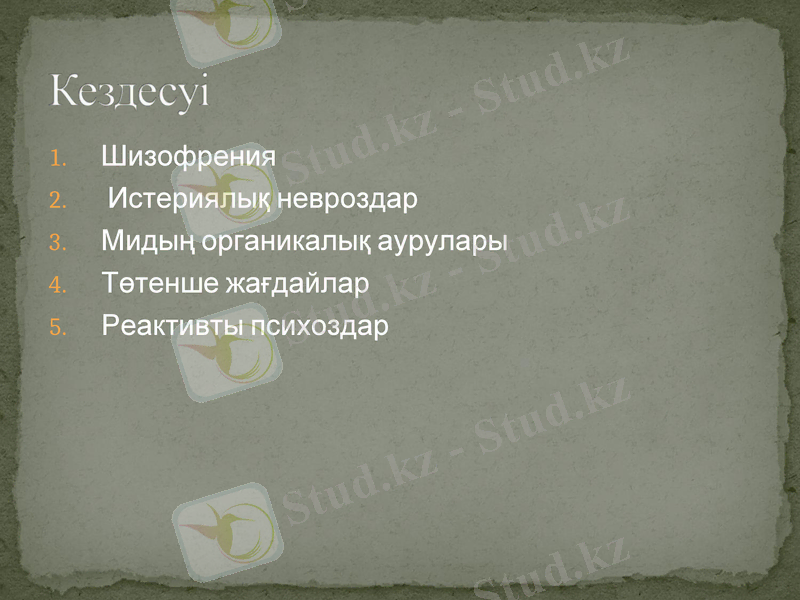 Slide 13