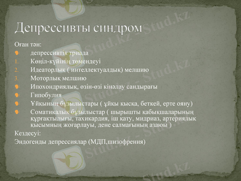 Slide 19