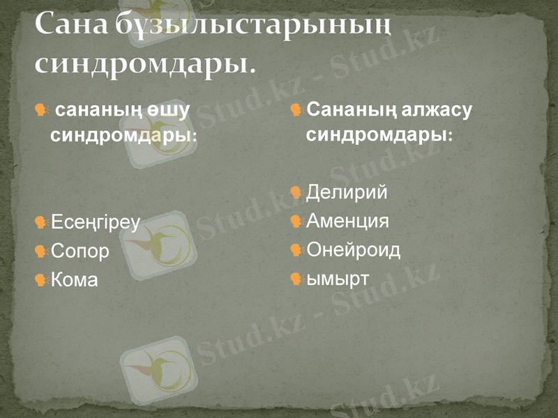 Slide 37