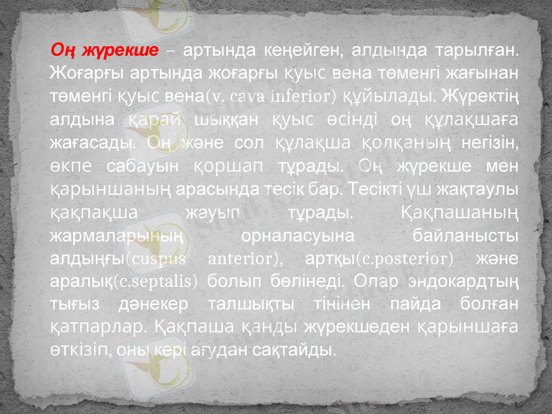 Slide 10