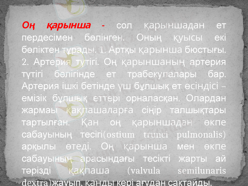 Slide 11