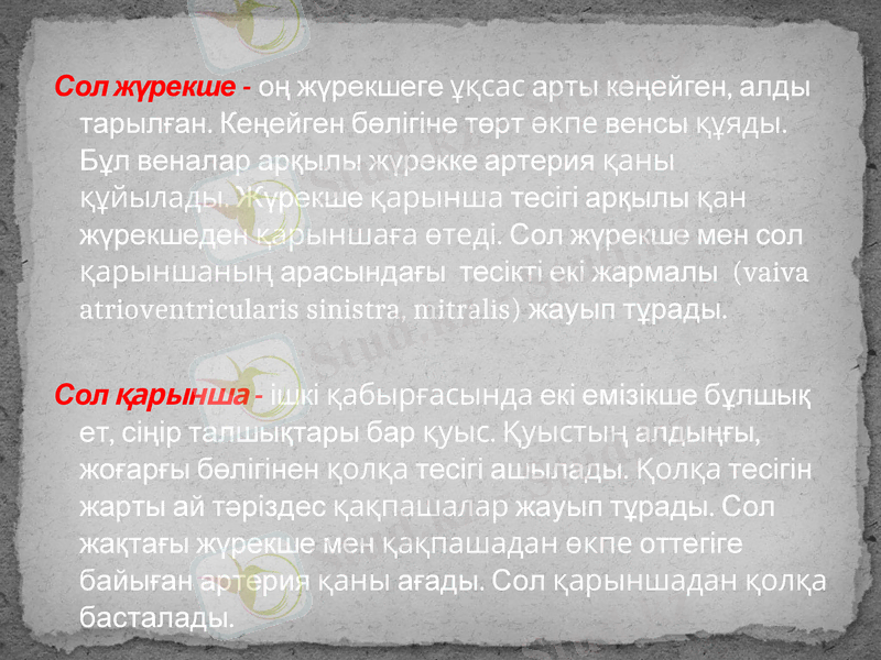 Slide 12