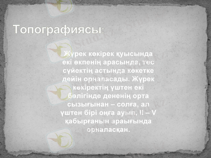 Slide 6