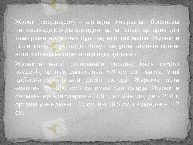 Slide 7