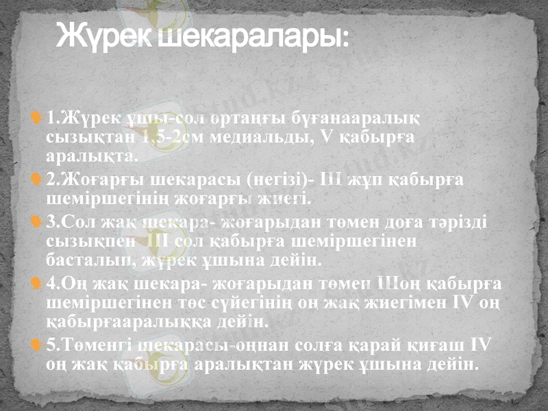 Slide 8