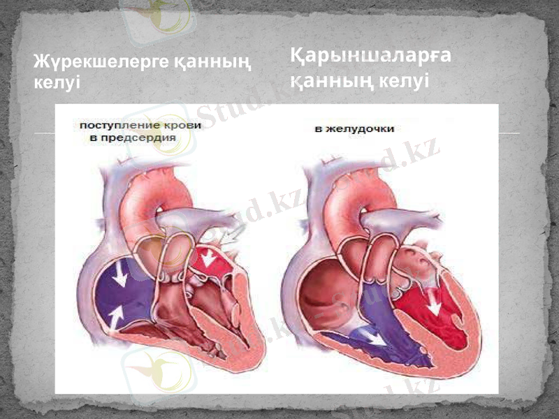 Slide 9