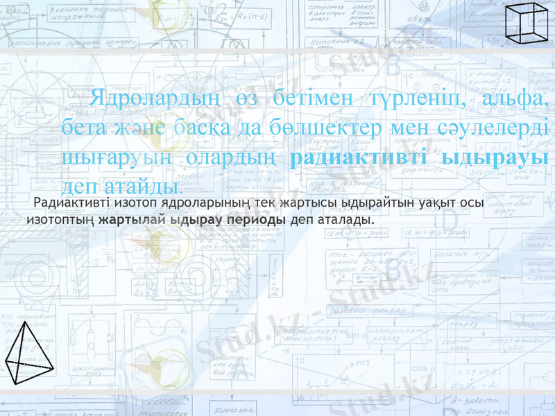 Slide 8