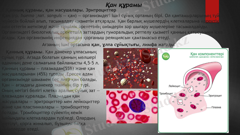 Slide 10