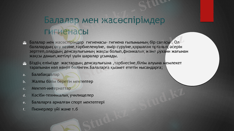 Slide 7