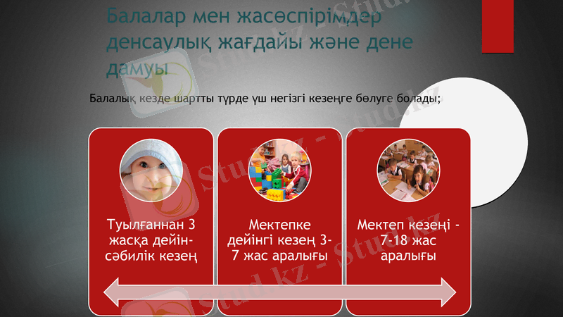 Slide 8