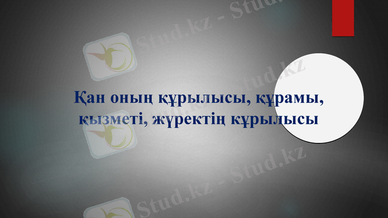 Slide 9
