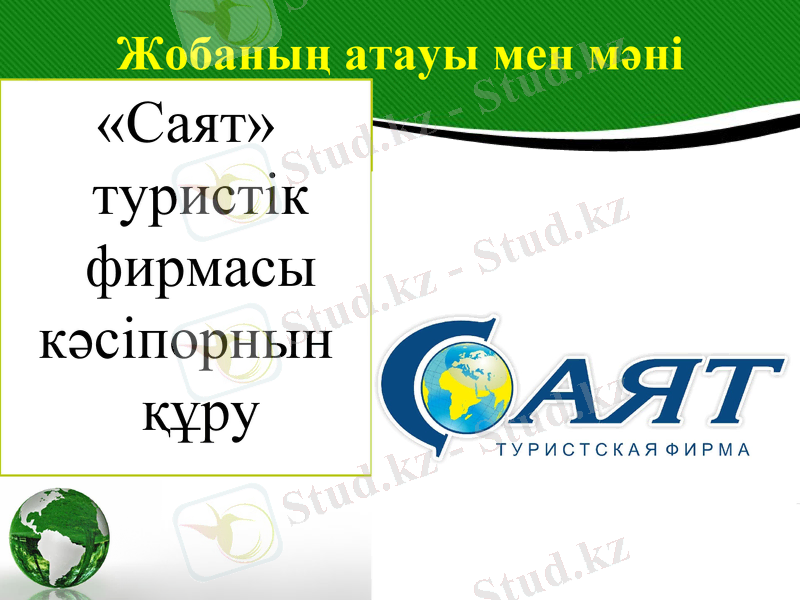 Slide 10