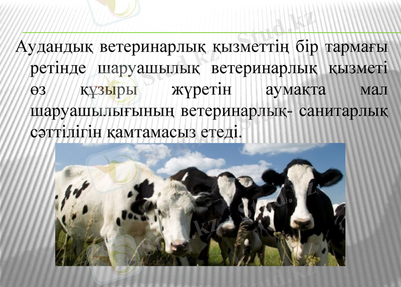 Slide 10