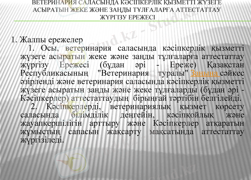 Slide 11