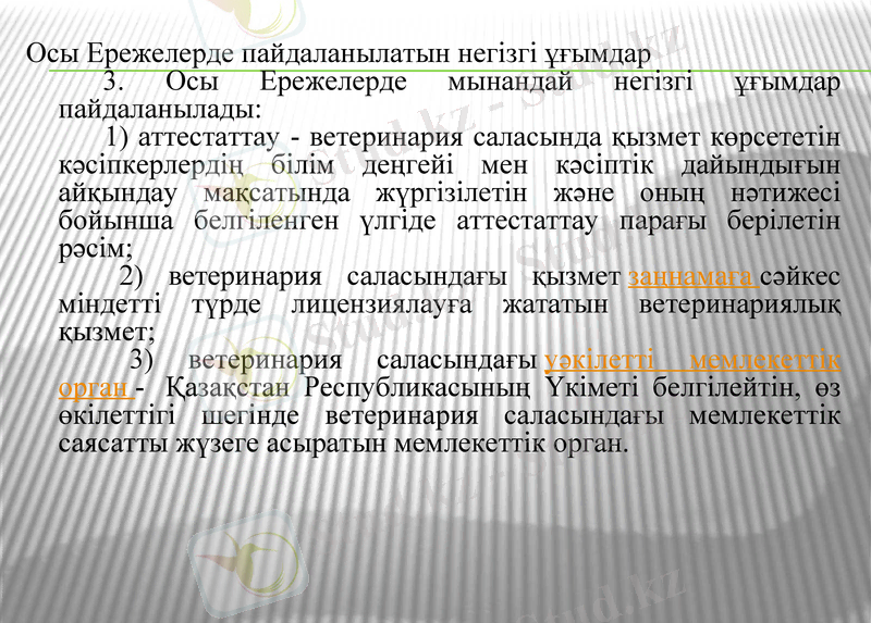 Slide 12