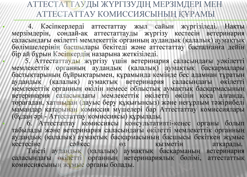Slide 13