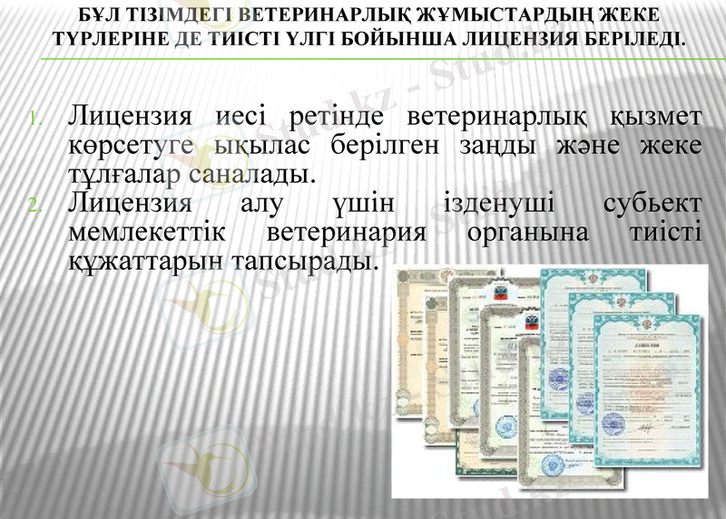 Slide 5