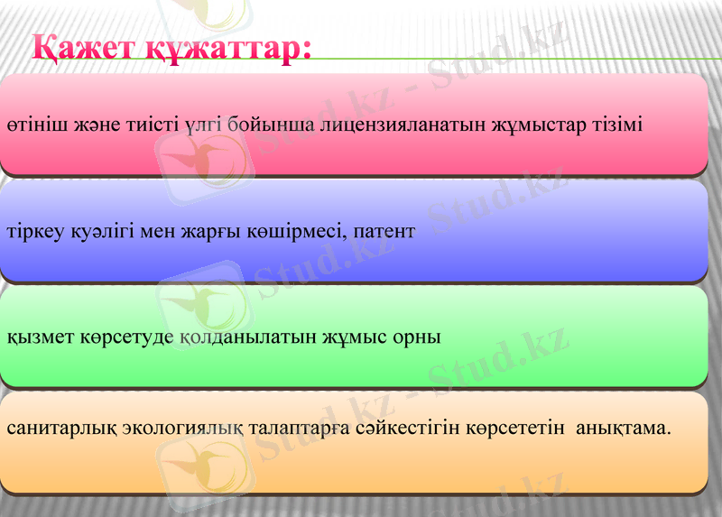 Slide 6