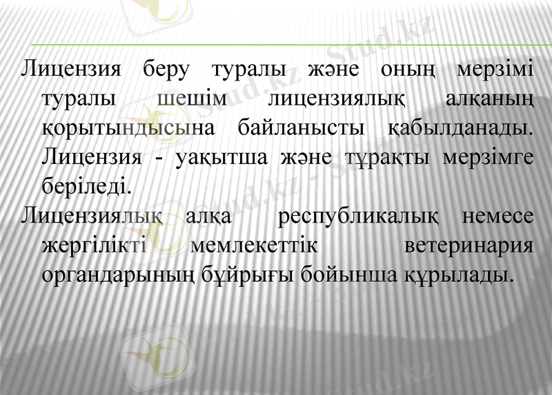 Slide 7